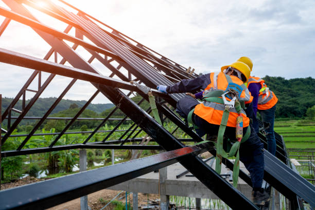 Best Roof Maintenance Services  in Haines, AK