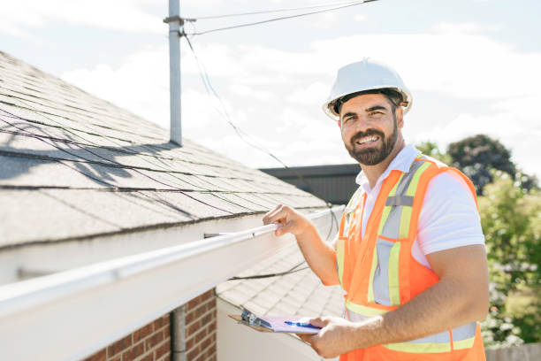 Roof Gutter Cleaning in Haines, AK