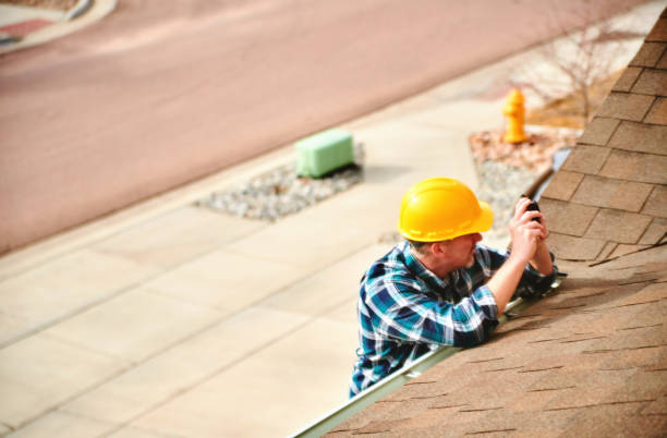 Best Metal Roofing Contractor  in Haines, AK