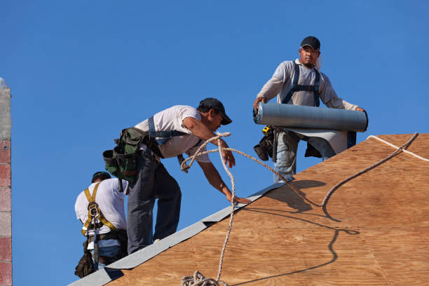 Best Roof Repair Services  in Haines, AK