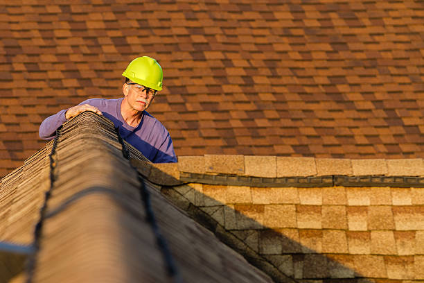Best Storm Damage Roof Repair  in Haines, AK