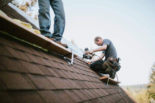 Best Roof Leak Repair  in Haines, AK