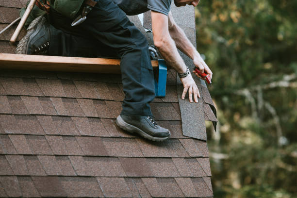 Best Roof Restoration Services  in Haines, AK