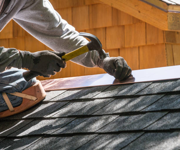 Best Affordable Roofing Company  in Haines, AK